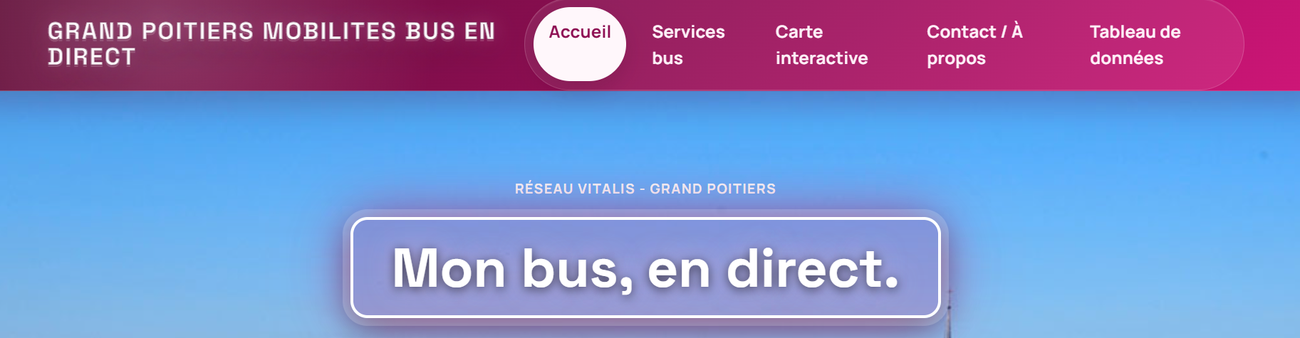 Couverture Rapport du site
